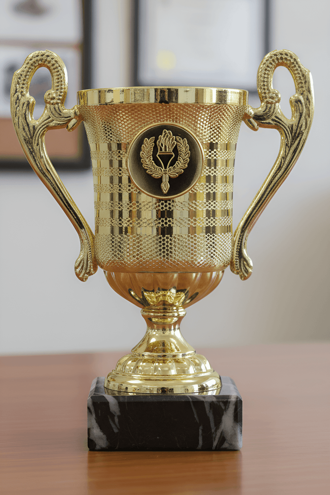 Puchar - CUP380